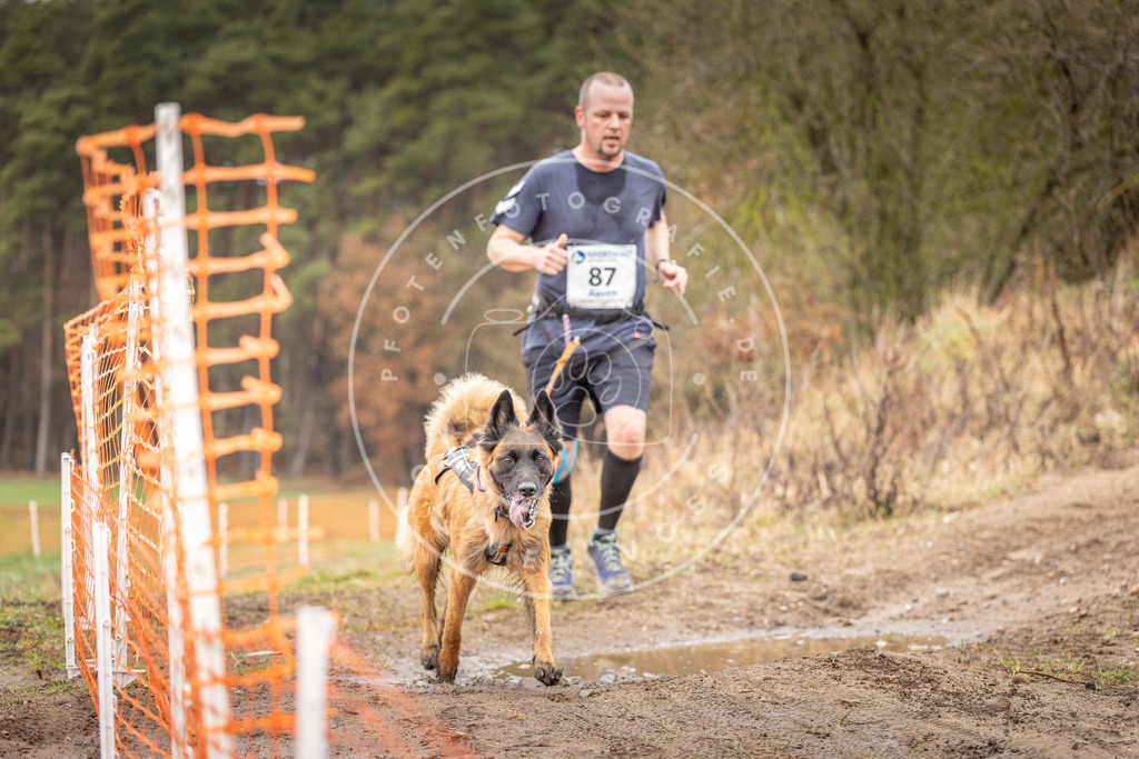 DV3A0373 | Hundefotografie, Tierfotograf, Pfotenfotografie, Fotoshooting Hund, Hunde Portrait, Hundesport, Hundeportraits, Heideshooting, Hunde, Sportfotograf, Hundefotograf, Turnierhundsport, THS,  - Realisiert mit Pictrs.com