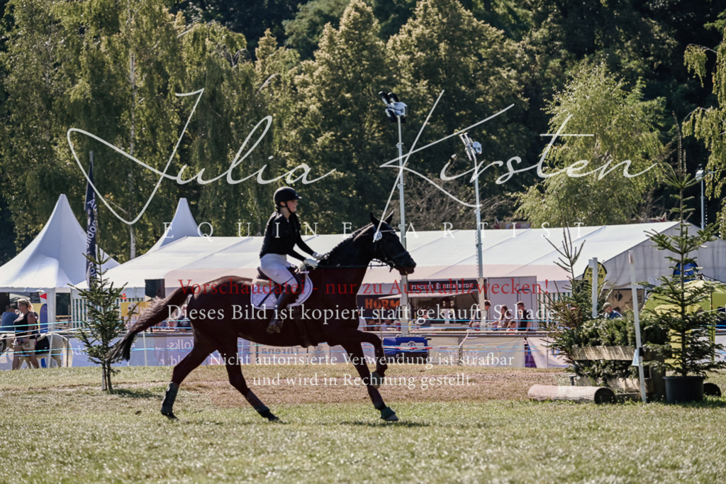 DSC_3496 | Pferde- und Turnierfotografie in Westsachsen. Pferdeportraits, Auftragszeichnungen und intuitive Kunst.