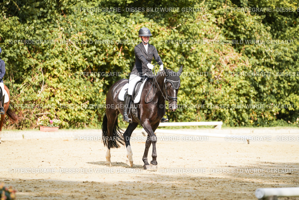 DSC02425 | Pferdegrafie