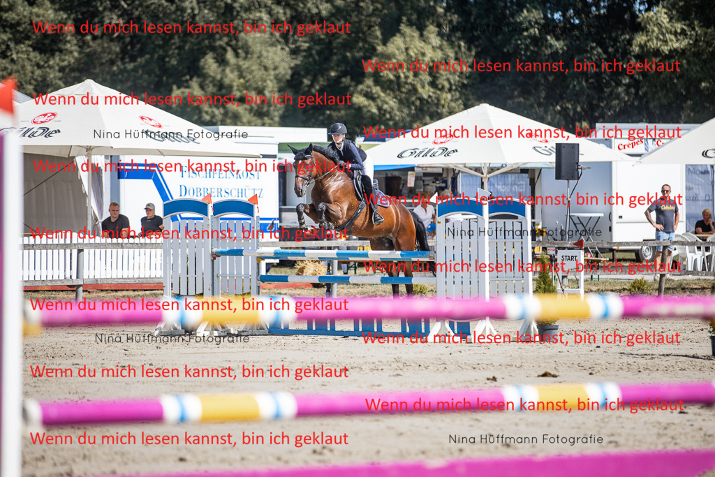 BK1A6883 | Turnierbilder Turnierfotos Nina Hüffmann Turnierfotografie Pferdefotografie Tierzeichnung Haustierzeichnung Pferdezeichnung Hundezeichnung Videograf  - Realisiert mit Pictrs.com
