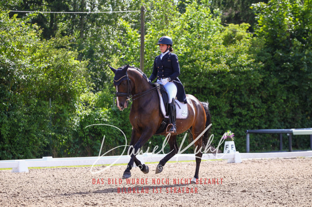 DKP41343 | Turnierfotos kaufen im Webshop von Daniel Kuhl Photography – entdecke professionelle Reitsportfotos aus Turnieren & Events. Hochwertige Turnierbilder online bestellen & sichern. Jetzt Fotos von Reitsportturnieren kaufen!