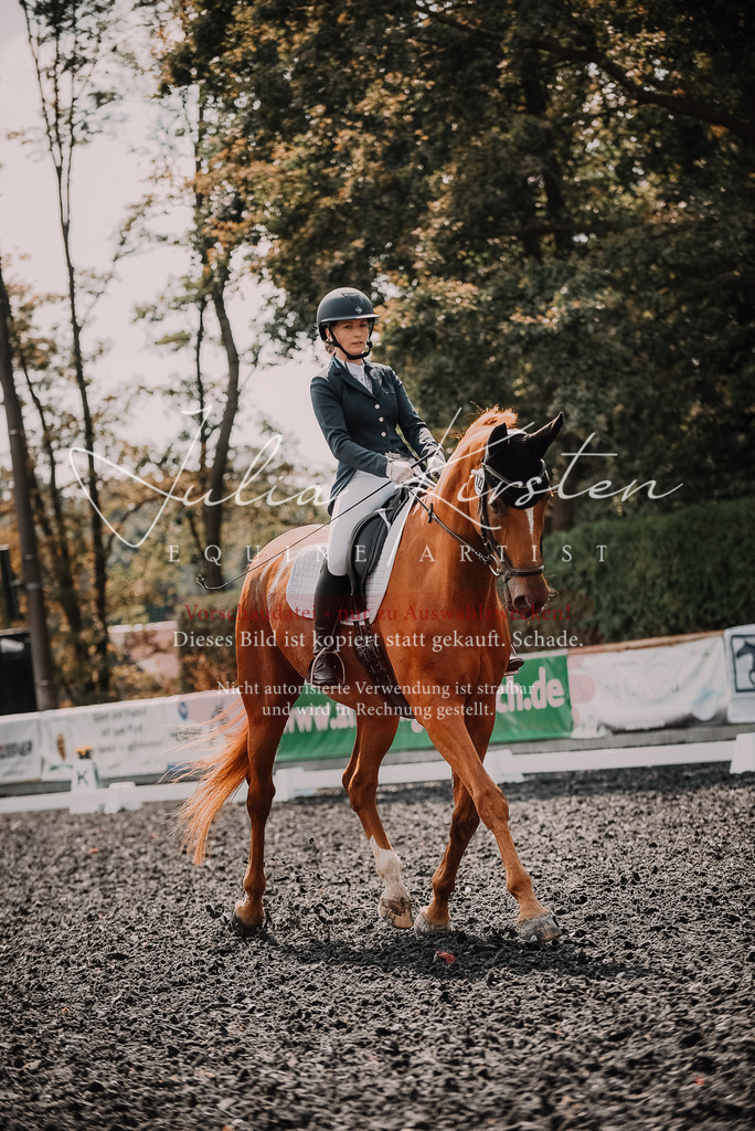 DSC_4106 | Pferde- und Turnierfotografie in Westsachsen. Pferdeportraits, Auftragszeichnungen und intuitive Kunst.