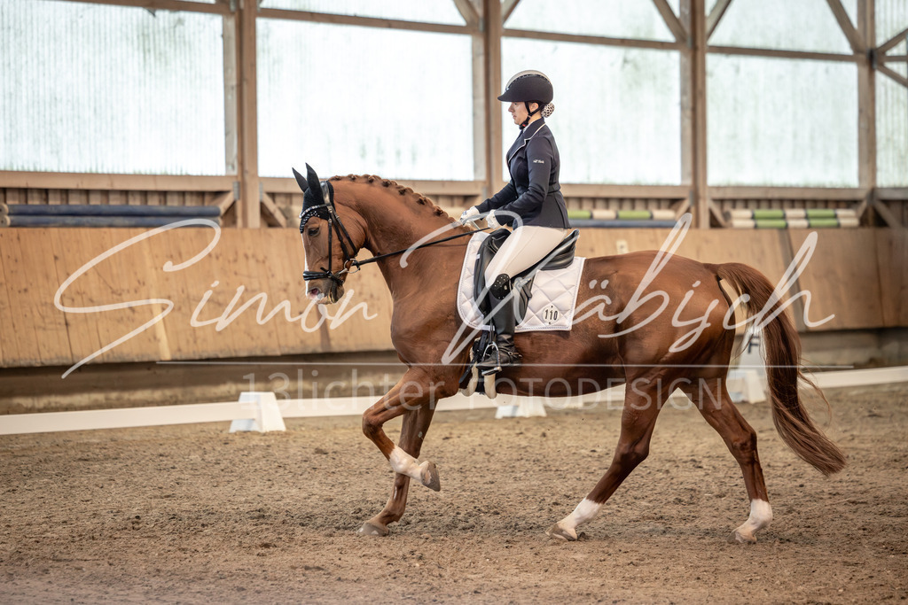 20251011-_3LI5735 | Tierfotografie Pferde, Hunde, Katzen, Haustiere.
Turnierfotografie Reitturniere, Reiten, Springreiten, Dressur in Hanau, dem Main-Kinzig-Kreis und dem Rhein-Main- Gebiet um Frankfurt