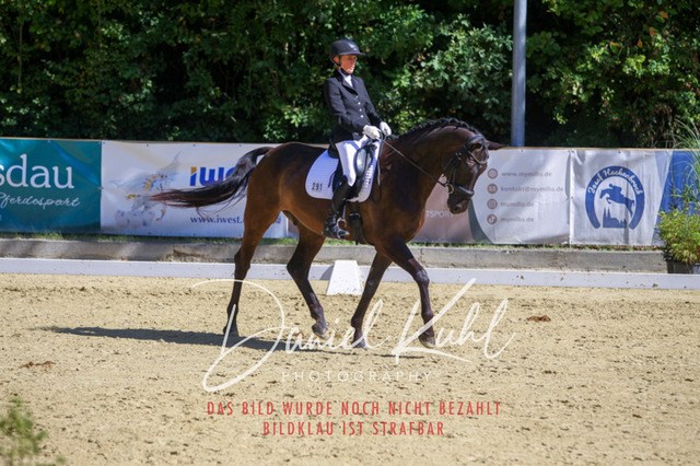 DKP42045 | Turniersportfotografie; Pferdefotografie; Dressurfotografie