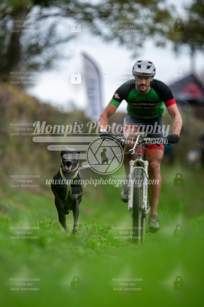 TSB_2023_E8_Bike-2 | PayLife