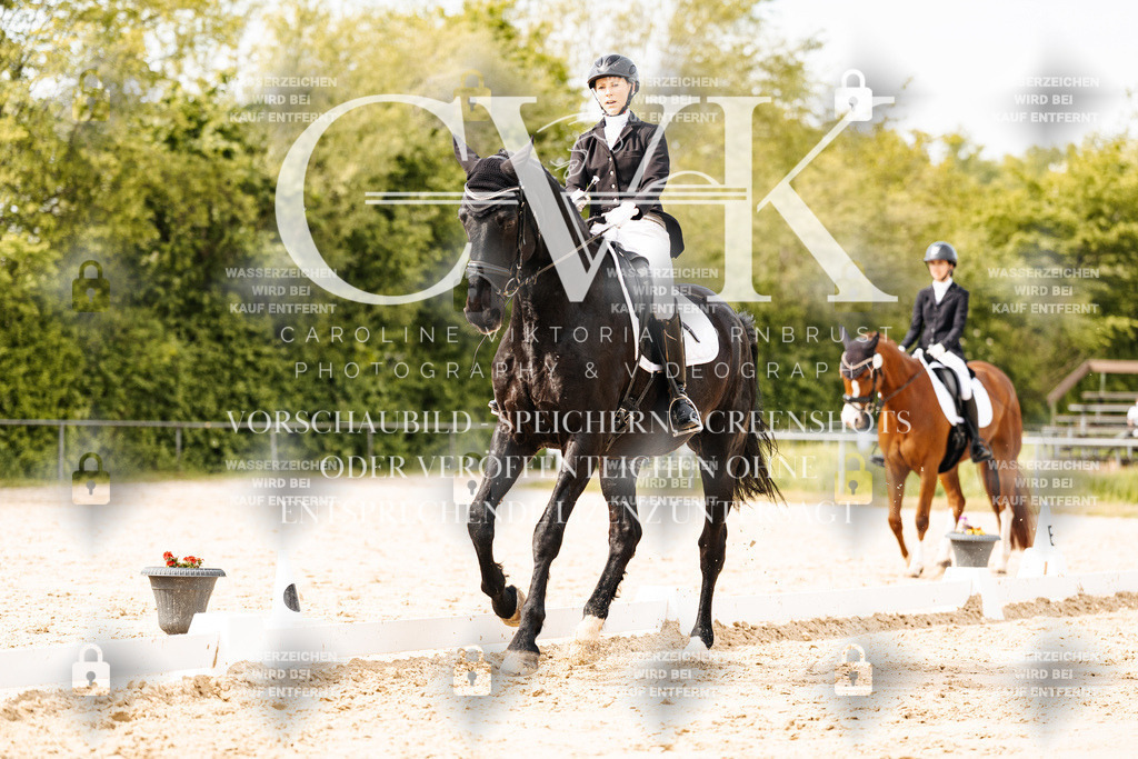 CK901057 | Turnierfotografie Pferdefotografie Trier Rheinland-Pfalz Pferdesport Reitsport Tierfotografie Sportfotografie Pferdevideo Pferdevideografie Equestrianvideography equestrianphotography  - Realisiert mit Pictrs.com