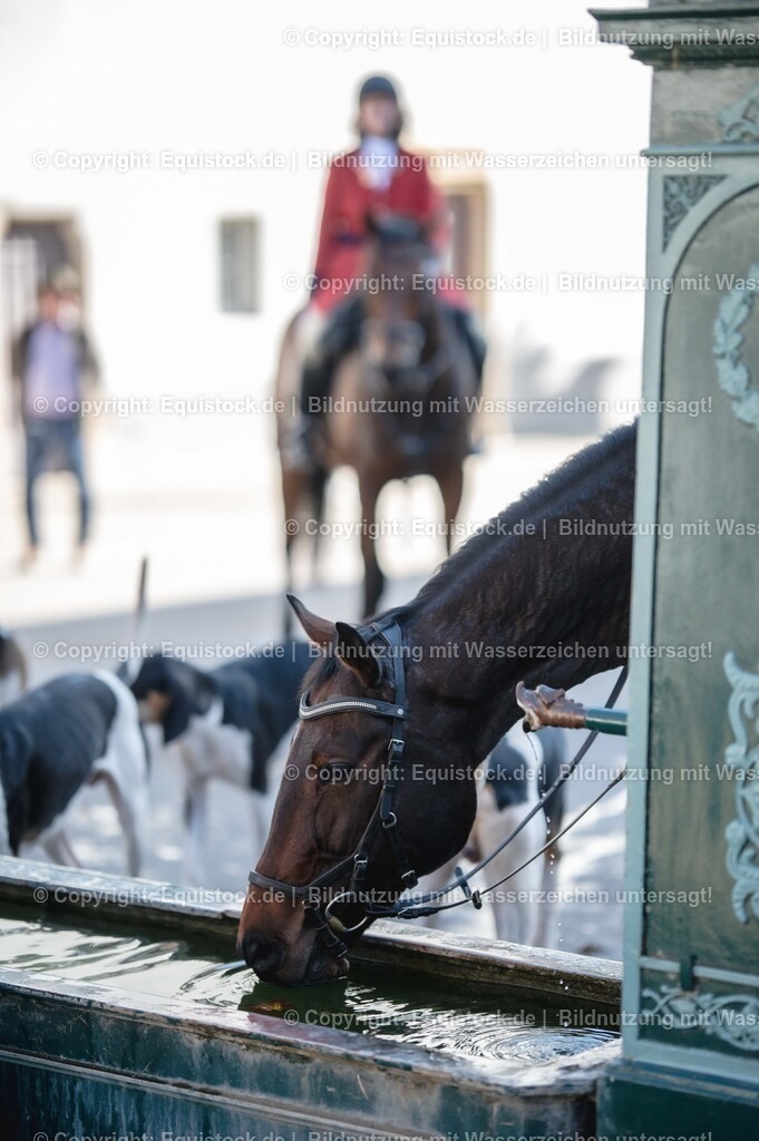 20251011_Jagd-Marbach_0645 | Foto: Thomas Hartig