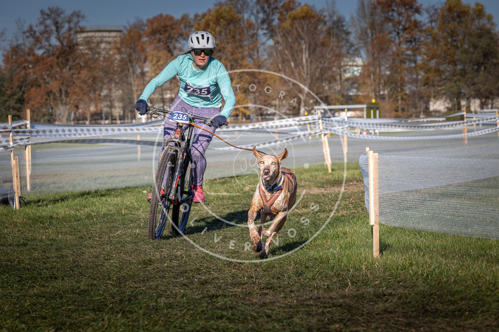 CaniXpix_0L8A4794 | Hundefotografie, Tierfotograf, Pfotenfotografie, Fotoshooting Hund, Hunde Portrait, Hundesport, Hundeportraits, Heideshooting, Hunde, Sportfotograf, Hundefotograf, Turnierhundsport, THS,  - Realisiert mit Pictrs.com