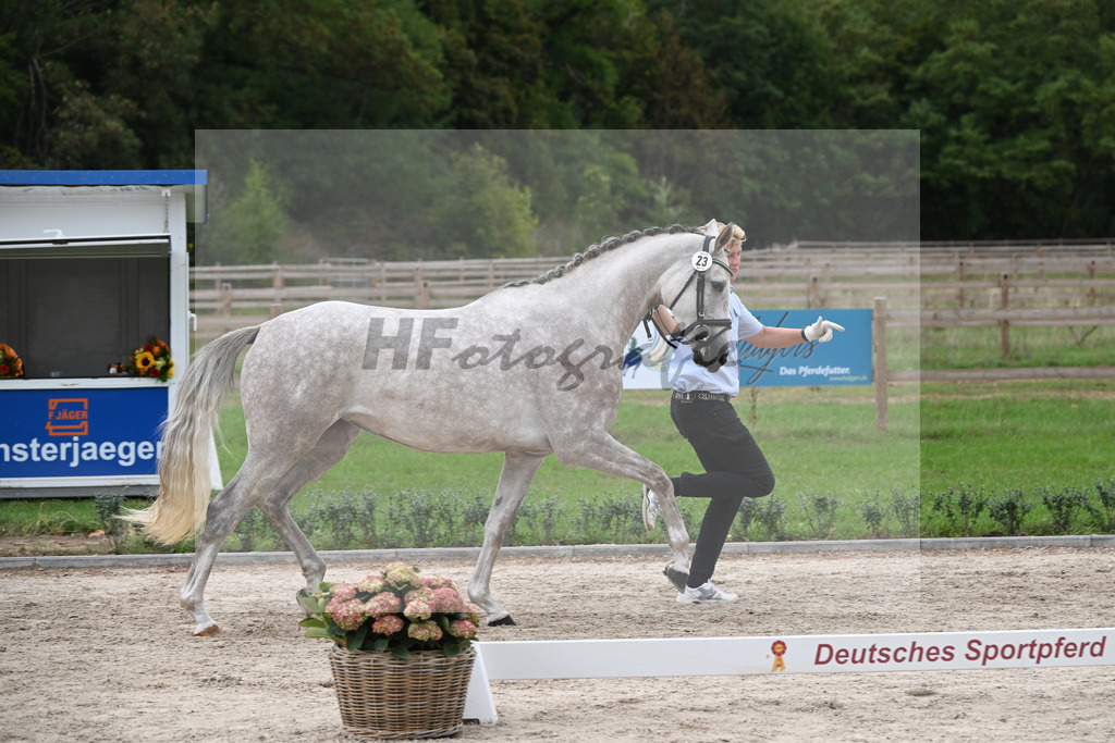 Kat-Nr. 23 Zaide_HLG Marbach_49221212 | hf-fotografie - Realizzato con Pictrs.com