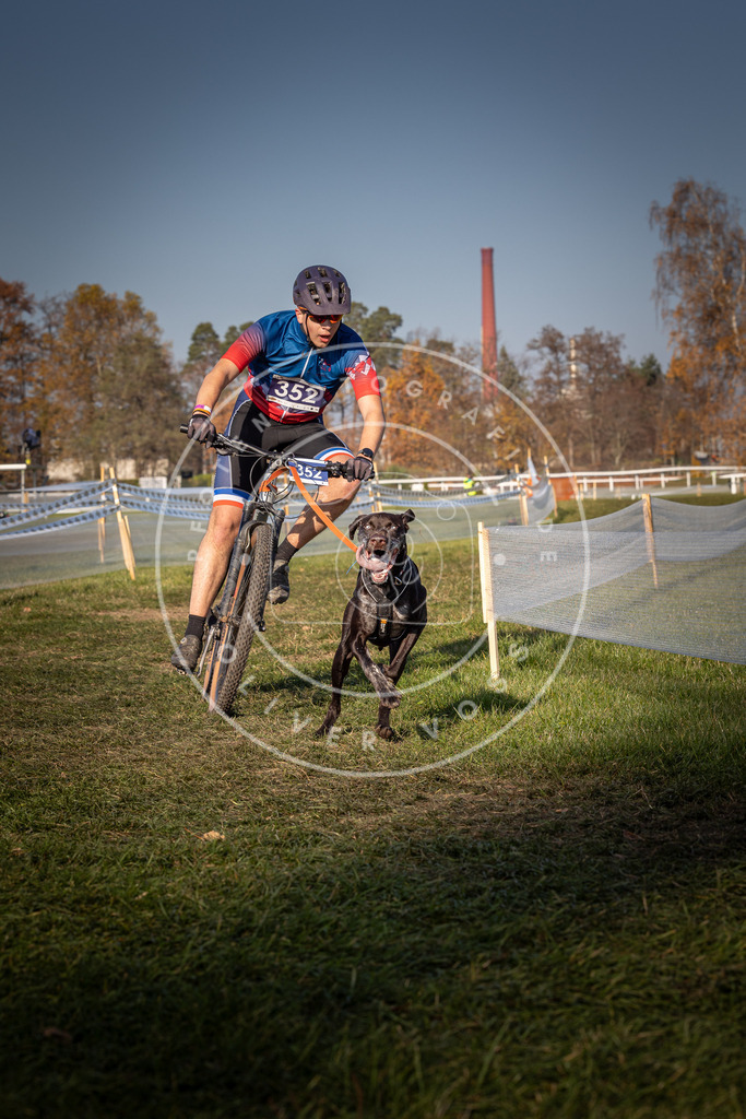 CaniXpix_0L8A6764 | Hundefotografie, Tierfotograf, Pfotenfotografie, Fotoshooting Hund, Hunde Portrait, Hundesport, Hundeportraits, Heideshooting, Hunde, Sportfotograf, Hundefotograf, Turnierhundsport, THS,  - Realisiert mit Pictrs.com