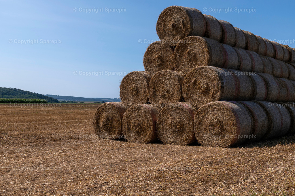 CAR_Agri_Stubblefield34 | Camera height 1,30m - light 10/50° - Realisiert mit Pictrs.com