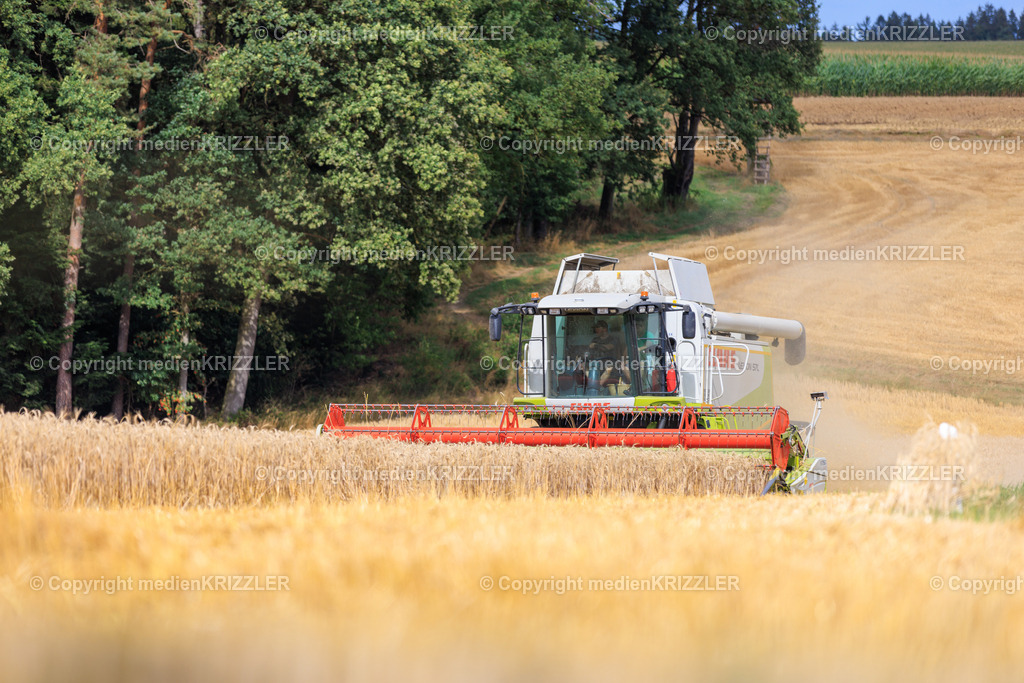 Erntezeit | medienkrizzler - Realisiert mit Pictrs.com