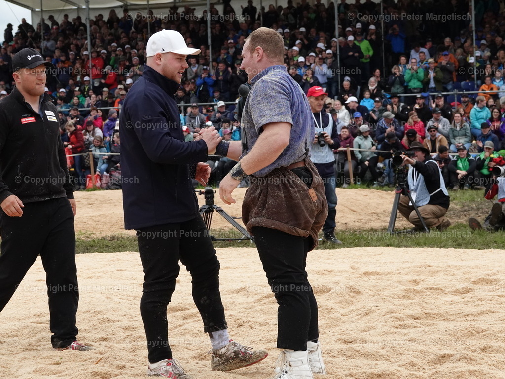 DSC07750 | Schwingen - Realisiert mit Pictrs.com