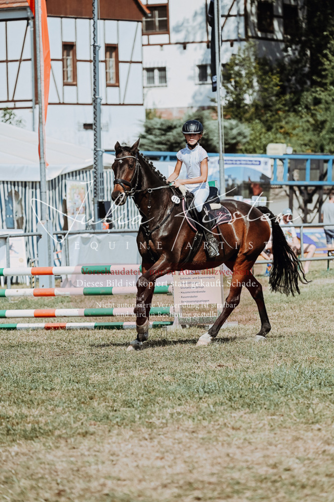 DSC_9827 | Pferde- und Turnierfotografie in Westsachsen. Pferdeportraits, Auftragszeichnungen und intuitive Kunst.