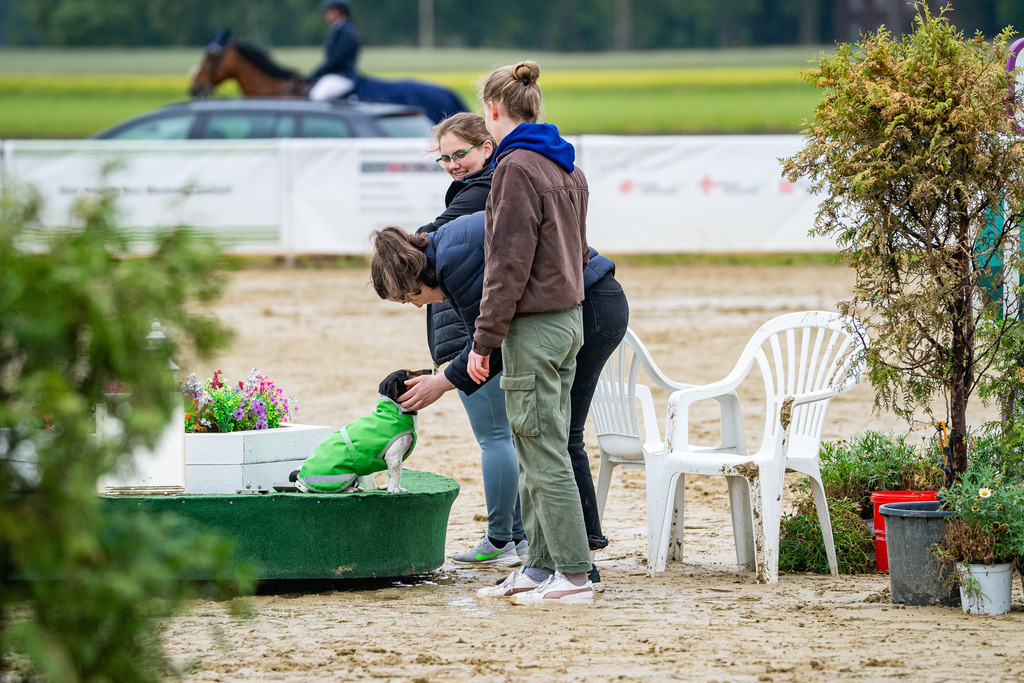 DSC03644 | Pferdegrafie