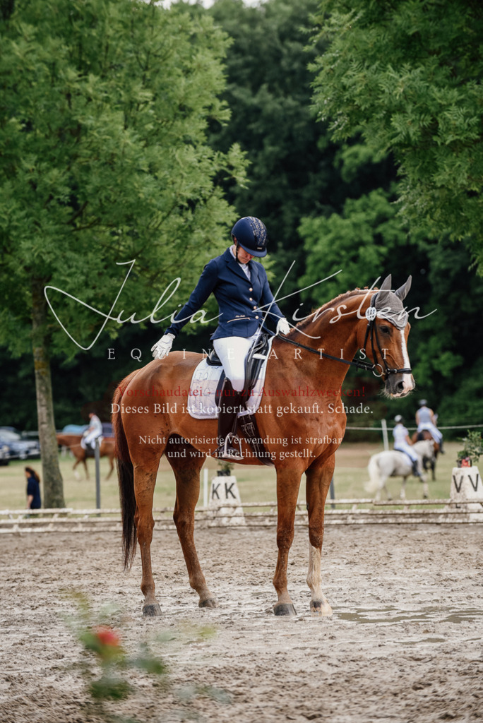 DSC_9957 | Pferde- und Turnierfotografie in Westsachsen. Pferdeportraits, Auftragszeichnungen und intuitive Kunst.