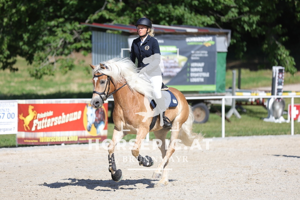 0P6A4010 | Willkommen bei Brunnmayr - Design & Fotografie – Ihrem Spezialisten für Reitturniere und Pferdeveranstaltungen in Oberösterreich, Salzburg und Bayern! Seit über 17 Jahren sind wir leidenschaftlich dabei.