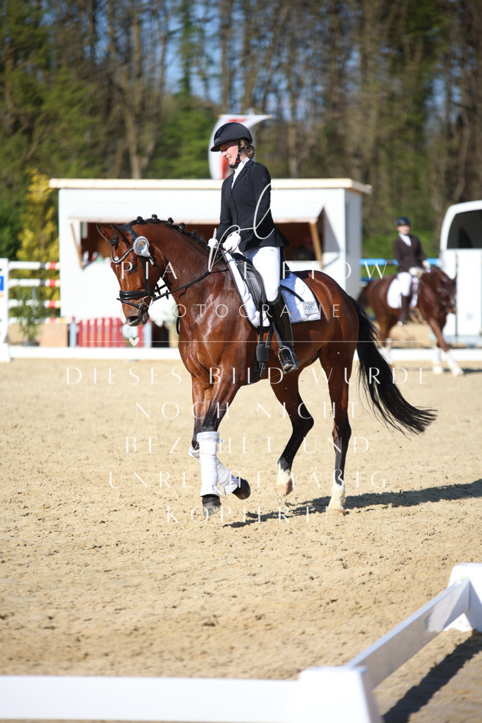 IMGT9163 | pl-fotografie