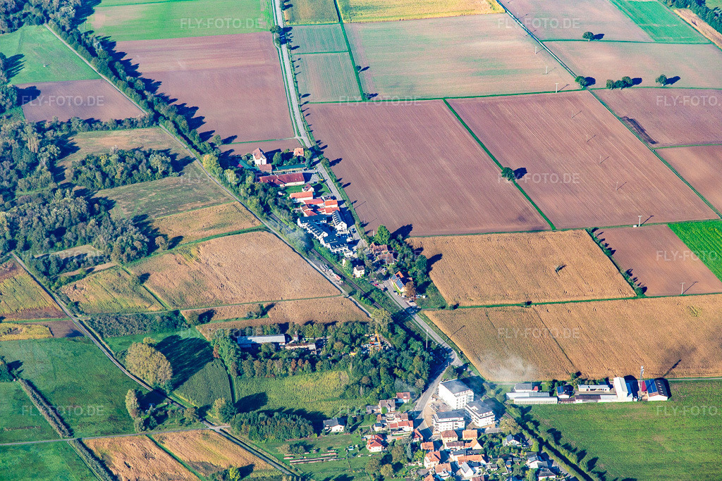 Luftbild: Bahnhof Schaidt in Steinfeld im Bundesland Rheinland-Pfalz in Deutschland. Foto: IMG_143471.jpg vom 29.09.2024 durch Werner Riehm/FLY-FOTO.de