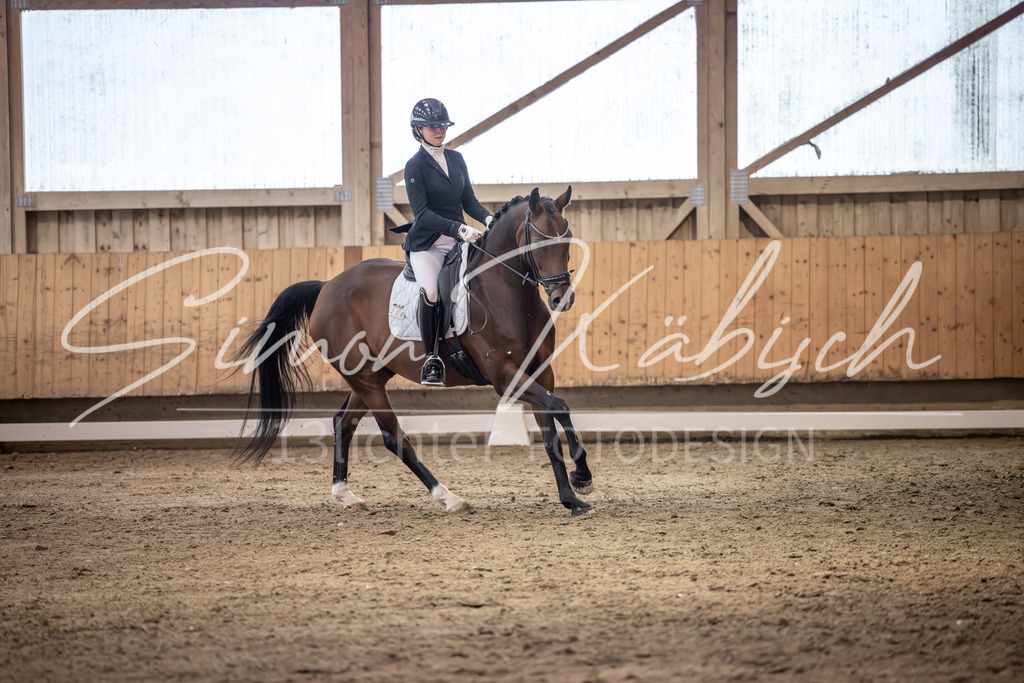 20251011-_3LI2161 | Tierfotografie Pferde, Hunde, Katzen, Haustiere.
Turnierfotografie Reitturniere, Reiten, Springreiten, Dressur in Hanau, dem Main-Kinzig-Kreis und dem Rhein-Main- Gebiet um Frankfurt