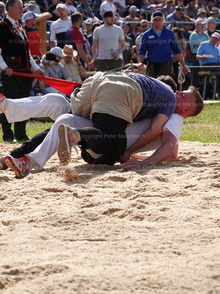 DSC06885 | Schwingen - Realisiert mit Pictrs.com