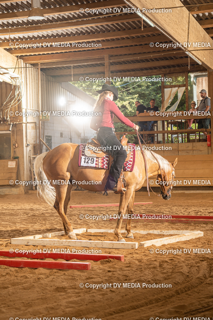 NID02698 | dv-media-shop - Realisiert mit Pictrs.com