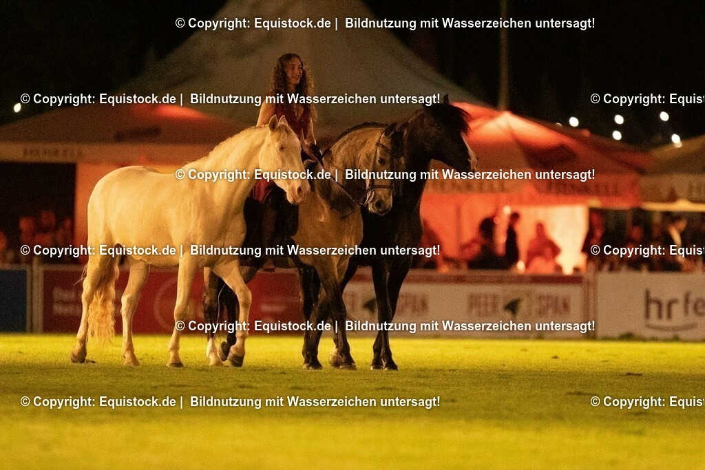 20230526_Pferdenacht_1520 | equistock