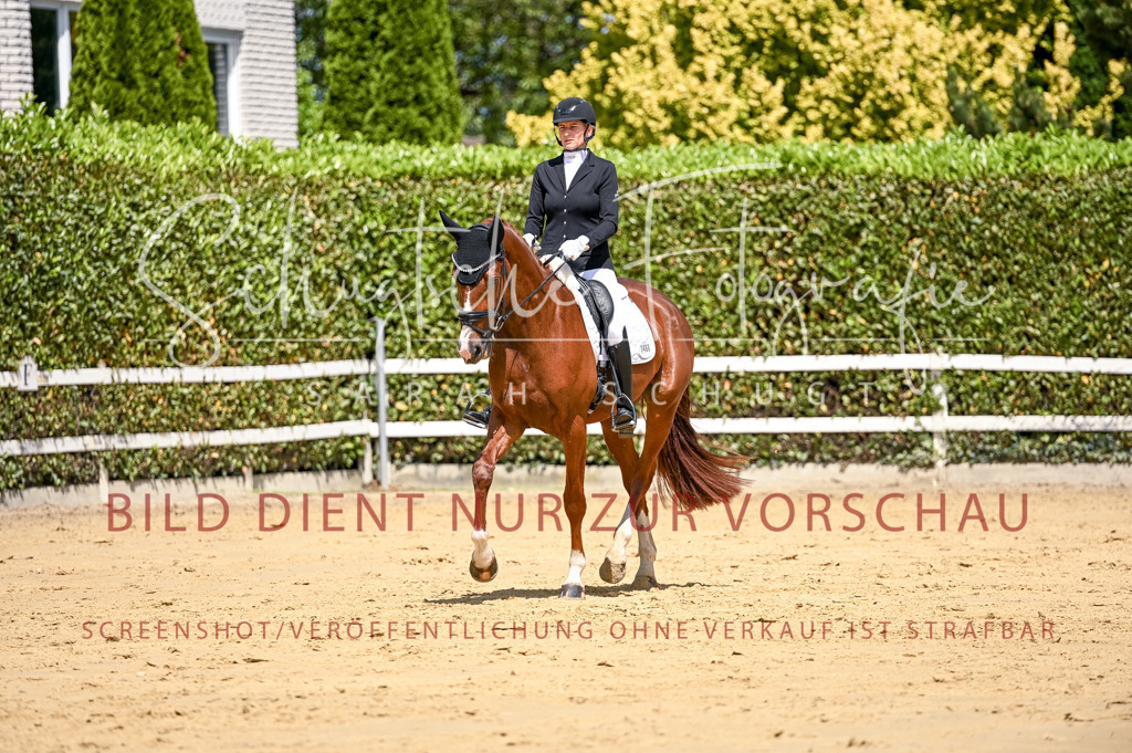 Schugtsche-Aluta25-49.Dressurpferdeprf.A-157 | Schugtsche Fotografie - Realisiert mit Pictrs.com