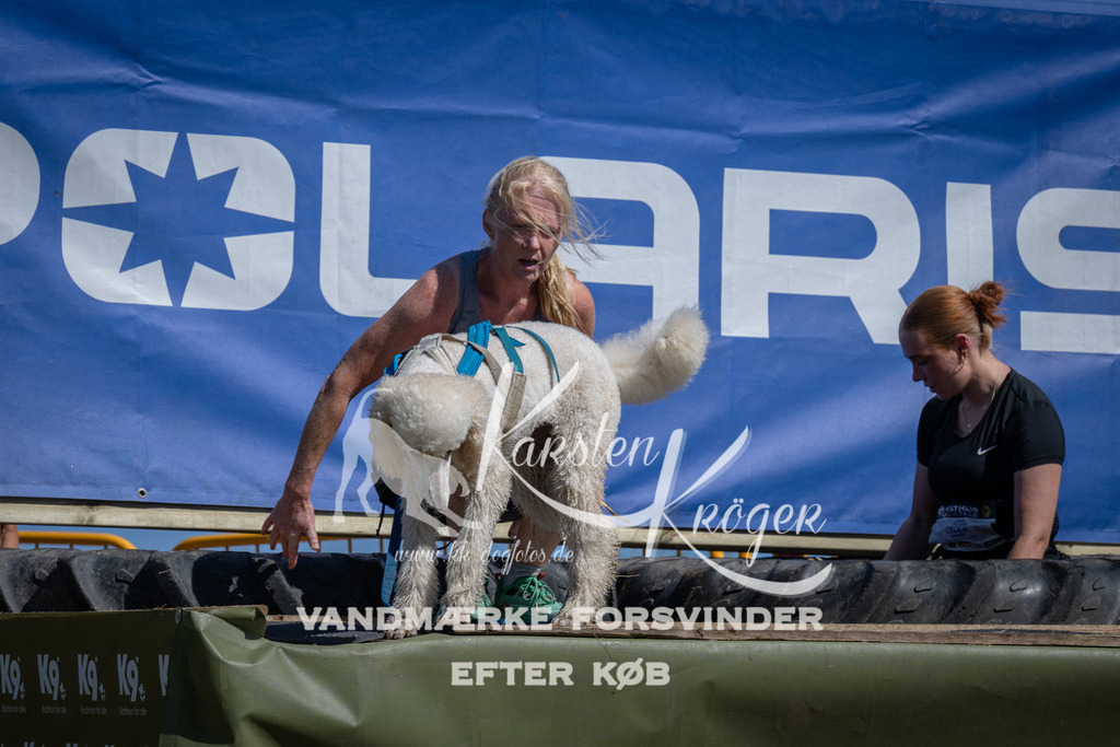 1204_ZZ93683 | kk-dogfotos