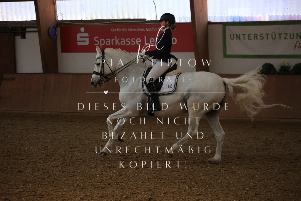 IMGT3701 | pl-fotografie