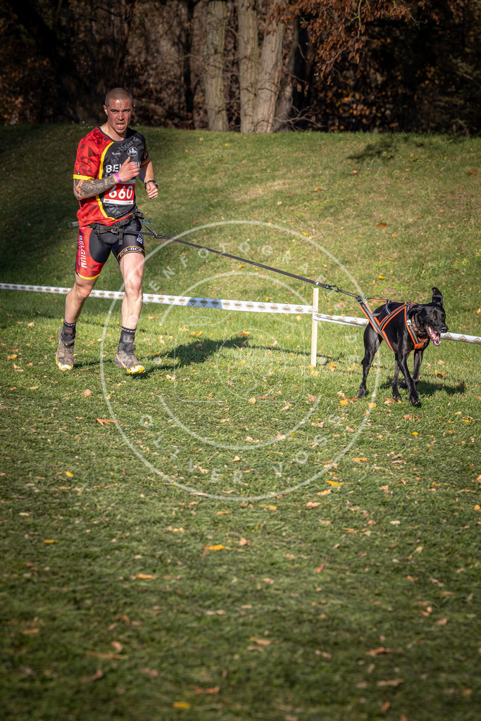 CaniXpix_0L8A9170 | Hundefotografie, Tierfotograf, Pfotenfotografie, Fotoshooting Hund, Hunde Portrait, Hundesport, Hundeportraits, Heideshooting, Hunde, Sportfotograf, Hundefotograf, Turnierhundsport, THS,  - Realisiert mit Pictrs.com