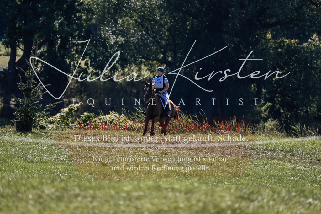DSC_1660 | Pferde- und Turnierfotografie in Westsachsen. Pferdeportraits, Auftragszeichnungen und intuitive Kunst.