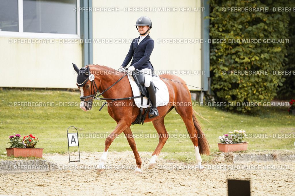 DSC09519 | Pferdegrafie