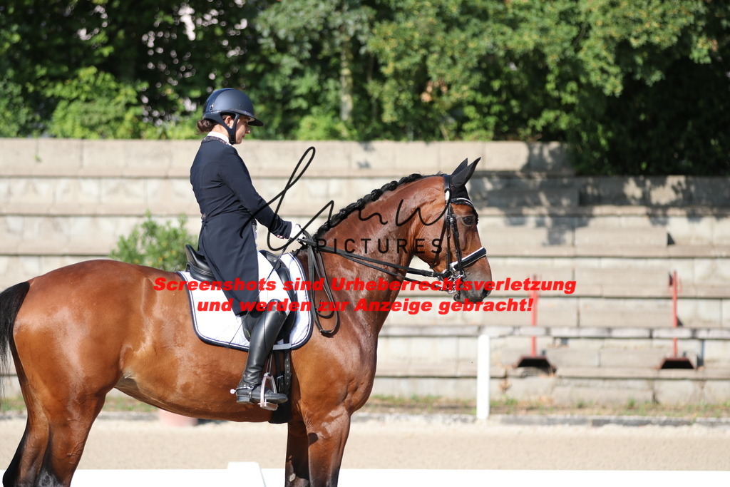 IMG_8851 | lmwpictures - Realisiert mit Pictrs.com