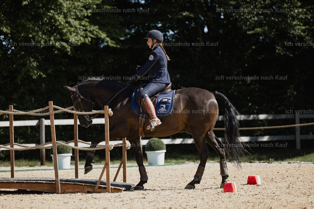 Mirjam25_FHC2025-27335 | working equitationturnier fotograf videograf stoibphotography marixx film working equitation deutschland reitsport turnierfotografie eventfotografie equestrian events