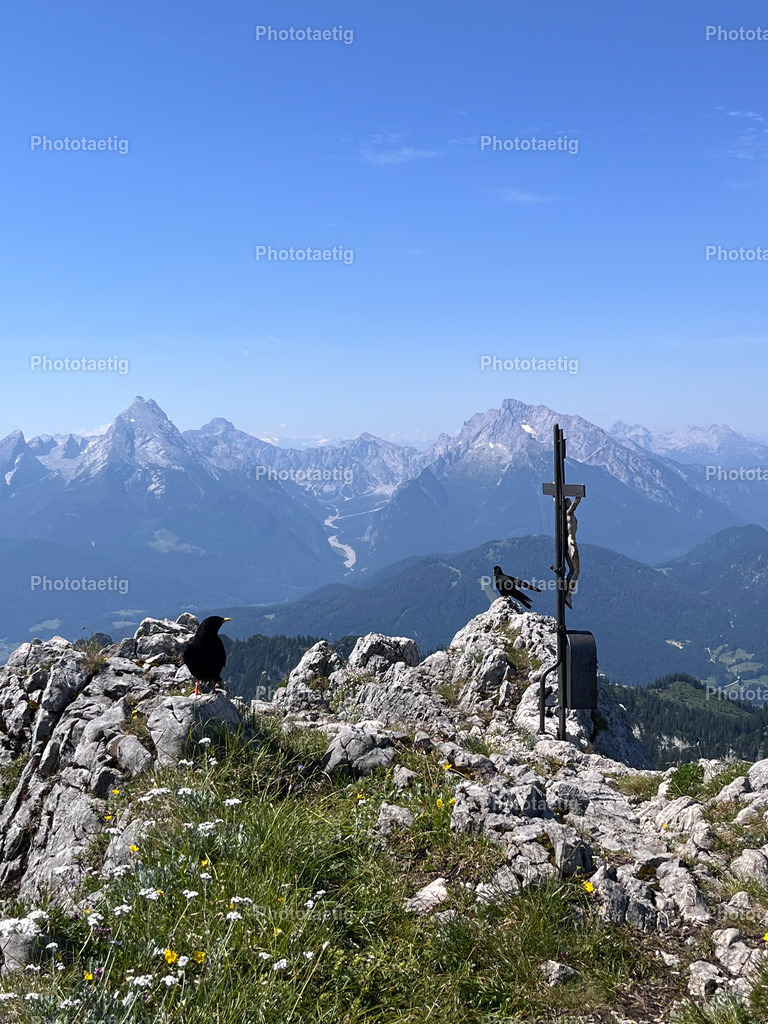 IMG_4281 | phototaetig