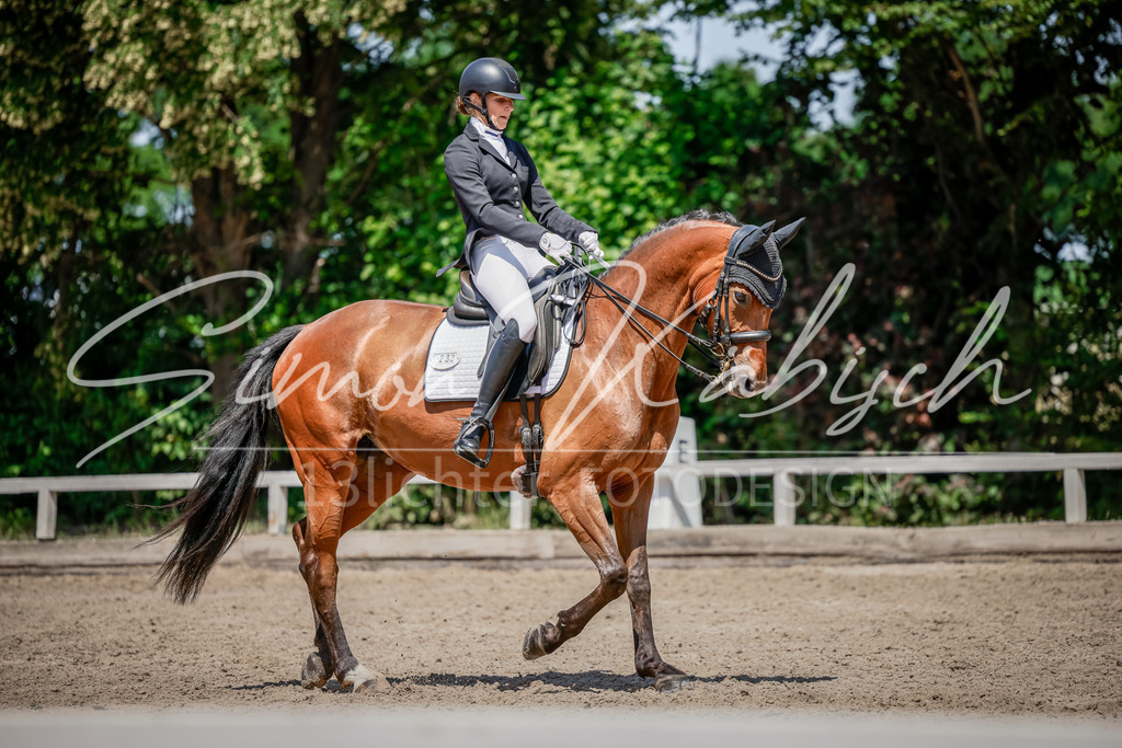 20250621-_3LI8515 | Tierfotografie Pferde, Hunde, Katzen, Haustiere.
Turnierfotografie Reitturniere, Reiten, Springreiten, Dressur in Hanau, dem Main-Kinzig-Kreis und dem Rhein-Main- Gebiet um Frankfurt