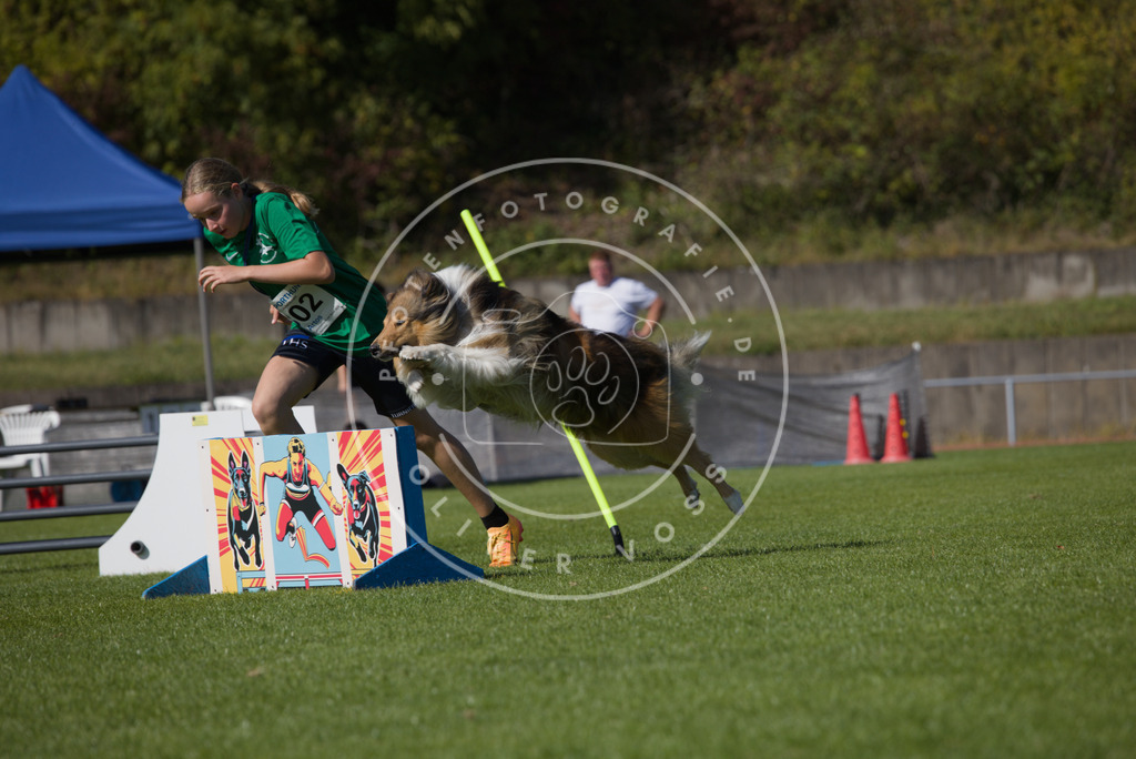 0L8A7699 | Hundefotografie, Tierfotograf, Pfotenfotografie, Fotoshooting Hund, Hunde Portrait, Hundesport, Hundeportraits, Heideshooting, Hunde, Sportfotograf, Hundefotograf, Turnierhundsport, THS,  - Realisiert mit Pictrs.com