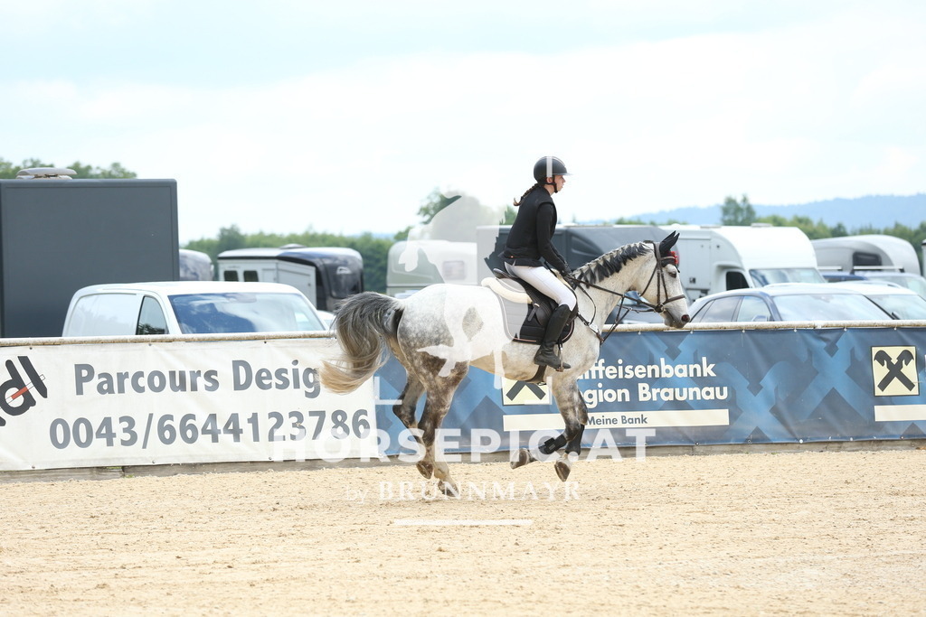 DL2Q3856 | Willkommen bei Brunnmayr - Design & Fotografie – Ihrem Spezialisten für Reitturniere und Pferdeveranstaltungen in Oberösterreich, Salzburg und Bayern! Seit über 17 Jahren sind wir leidenschaftlich dabei.