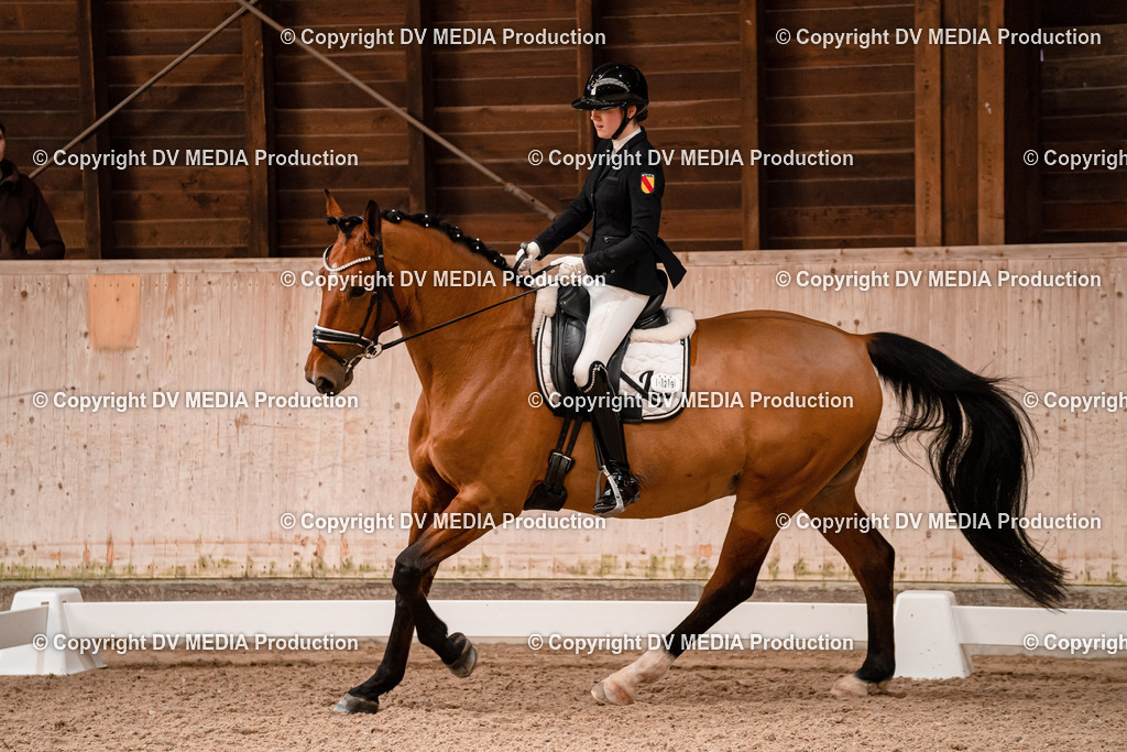 Dressur Tag 2-348 | dv-media-shop - Realisiert mit Pictrs.com