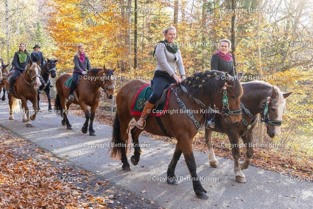 LL24-322 | foto-bettina-krinner - Realisiert mit Pictrs.com