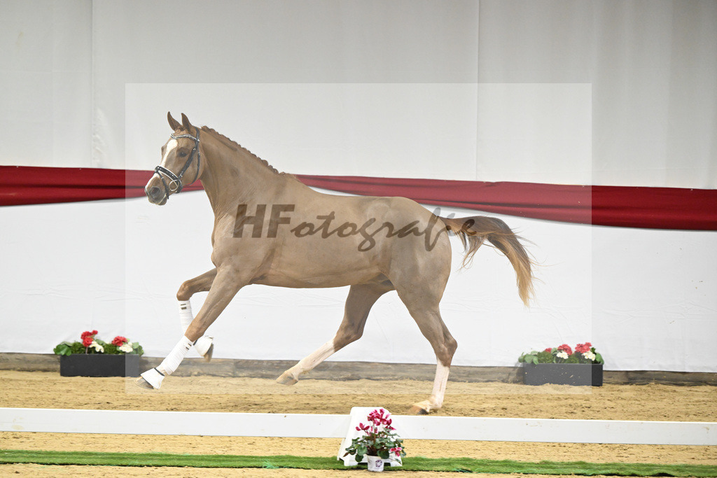 Kat-Nr. 48 v. Danone I_Mueller_63221253 | hf-fotografie - Realisiert mit Pictrs.com