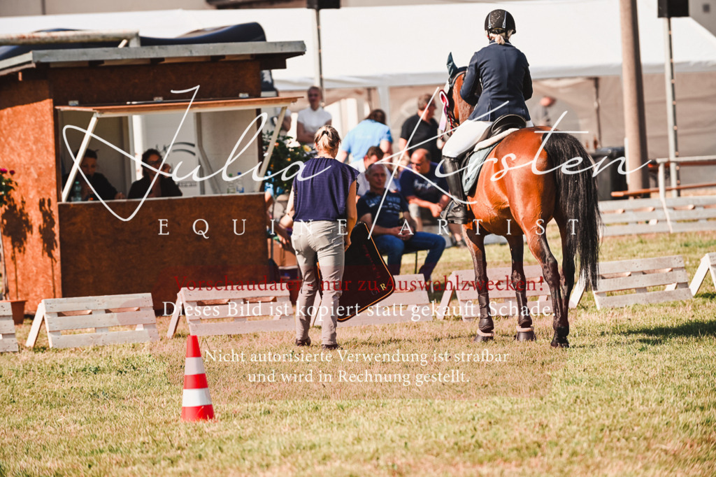 DSC_7388 | Pferde- und Turnierfotografie in Westsachsen. Pferdeportraits, Auftragszeichnungen und intuitive Kunst.