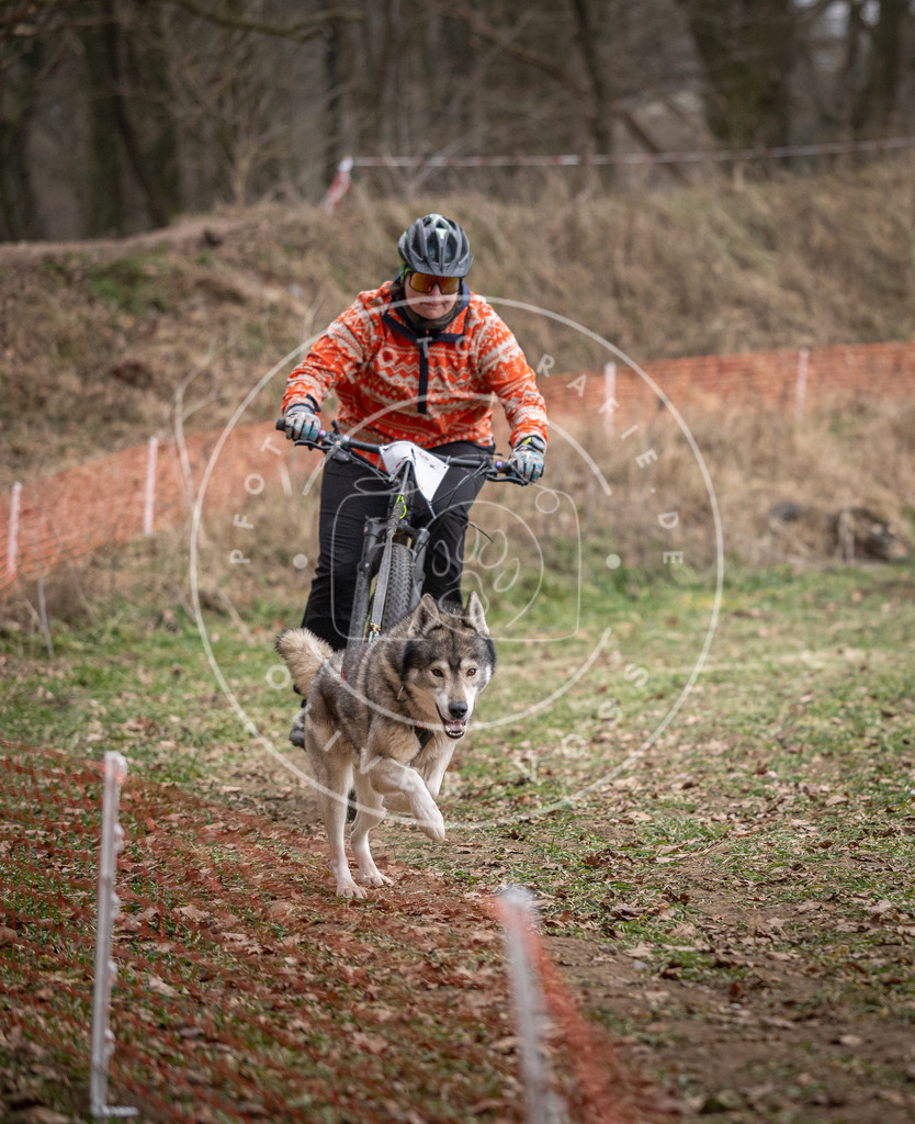 Pfotenfotografie_DV3A6305 | Hundefotografie, Tierfotograf, Pfotenfotografie, Fotoshooting Hund, Hunde Portrait, Hundesport, Hundeportraits, Heideshooting, Hunde, Sportfotograf, Hundefotograf, Turnierhundsport, THS,  - Realisiert mit Pictrs.com