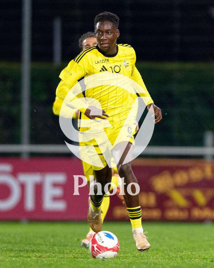 dieci Challenge League - FC Stade Nyonnais v Etoile Carouge FC |  during the dieci Challenge League match between FC Stade Nyonnais and Etoile Carouge FC at Centre sportif de Colovray in Nyon, Switzerland