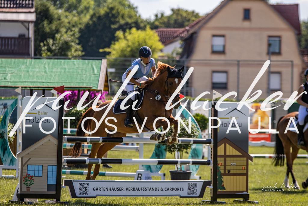 IMG_0169 | Erleben Sie dynamische Sport- und emotionale Tierfotografie in Süddeutschland mit Fotos von Paula. Spezialisiert auf Pferde- und Hundefotografie sowie Sportevents. Kontaktieren Sie mich für einzigartige und ausdrucksstarke Bilder Ihrer besonderen Momente. - Realisiert mit Pictrs.com