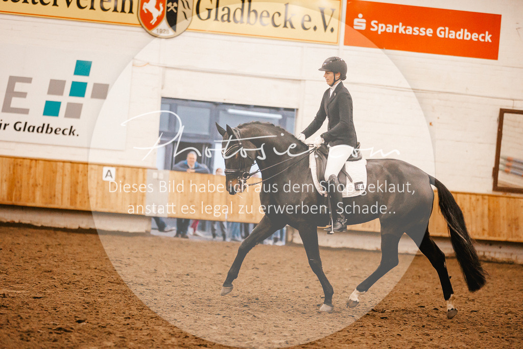 3I6A7178 | Stimmungsvolle Portraits und Reitsportfotografie im Ruhrgebiet und im Münsterland.

Pferdefotografie, Hundefotografie, Tierfotografie, Reportagen, Portraits von Tier und Mensch, Turnierfotografie in Bochum, Recklinghausen, Marl, Haltern am See, Dülmen.. - Realisiert mit Pictrs.com