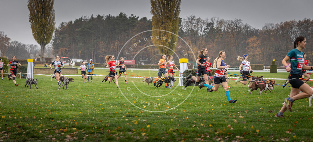 CaniXpix_DV3A8808 | Hundefotografie, Tierfotograf, Pfotenfotografie, Fotoshooting Hund, Hunde Portrait, Hundesport, Hundeportraits, Heideshooting, Hunde, Sportfotograf, Hundefotograf, Turnierhundsport, THS,  - Realisiert mit Pictrs.com