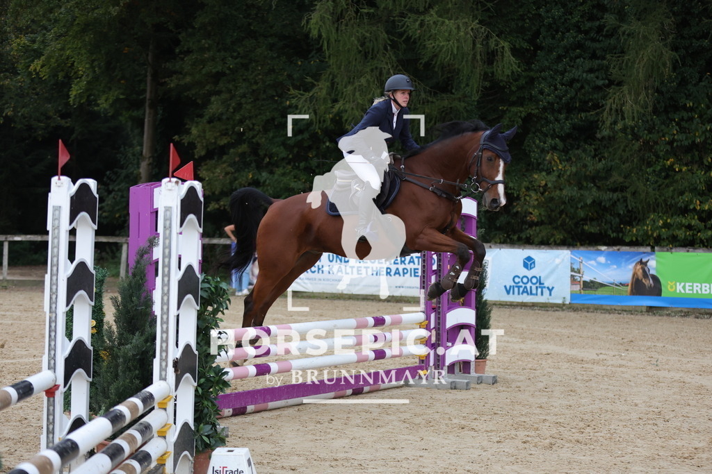 0P6A5086 | Willkommen bei Brunnmayr - Design & Fotografie – Ihrem Spezialisten für Reitturniere und Pferdeveranstaltungen in Oberösterreich, Salzburg und Bayern! Seit über 17 Jahren sind wir leidenschaftlich dabei.