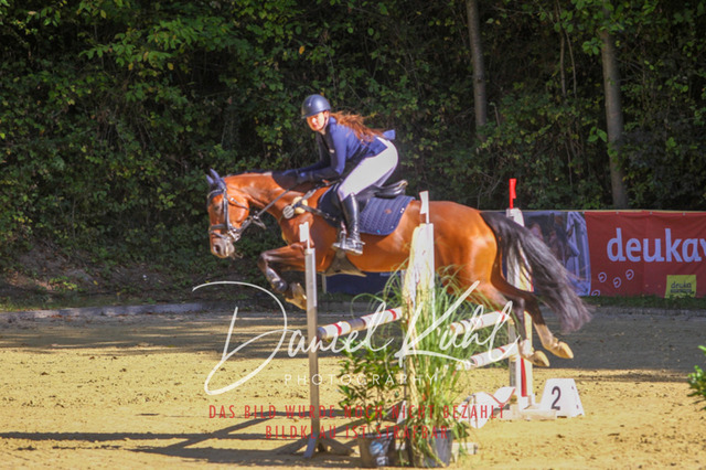 DKP42952 | Turniersportfotografie; Pferdefotografie; Dressurfotografie